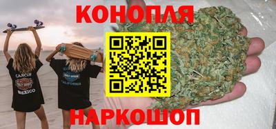 сатива Коммунар