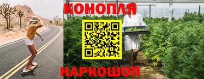 сатива Коммунар