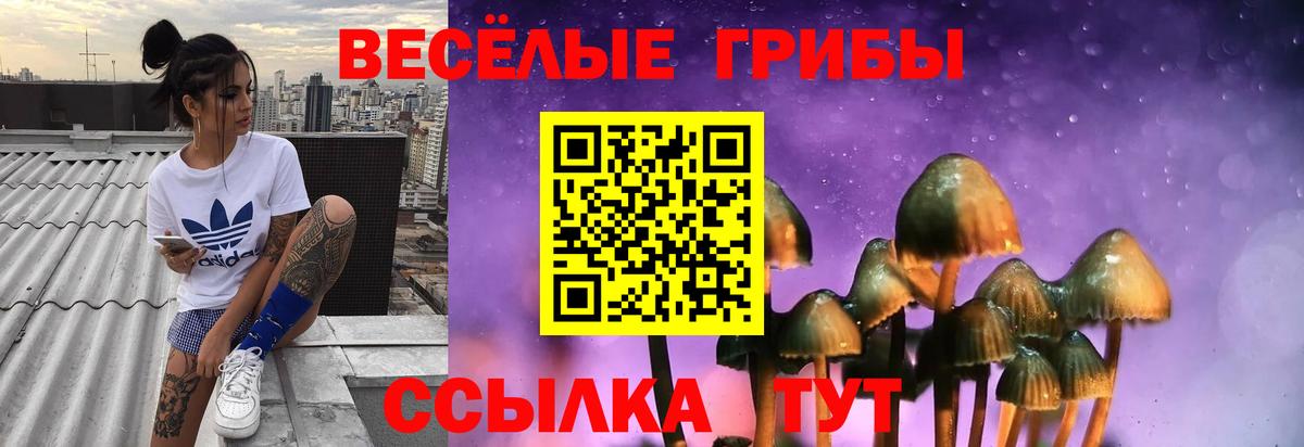 Псилоцибиновые грибы мицелий  Вход с VPN  Корсаков 